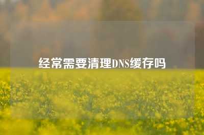 经常需要清理DNS缓存吗
