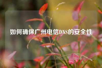 如何确保广州电信DNS的安全性