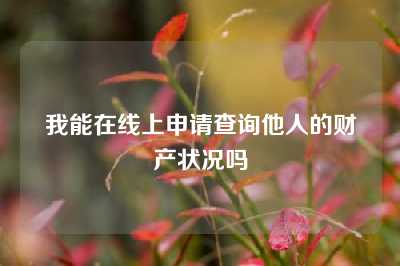我能在线上申请查询他人的财产状况吗
