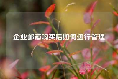 企业邮箱购买后如何进行管理