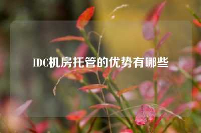 IDC机房托管的优势有哪些
