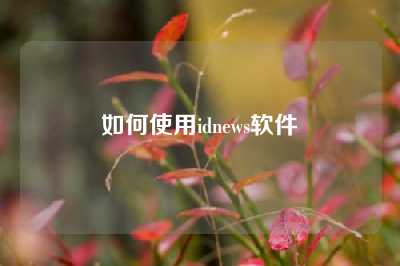 如何使用idnews软件