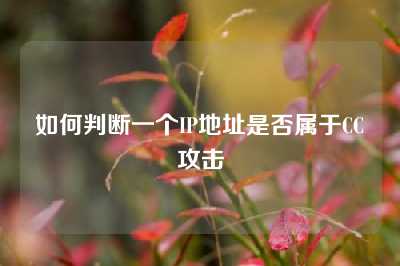 如何判断一个IP地址是否属于CC攻击