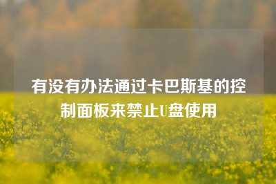 有没有办法通过卡巴斯基的控制面板来禁止U盘使用