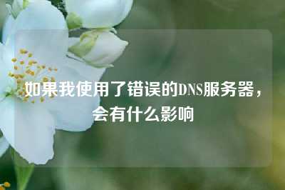 如果我使用了错误的DNS服务器，会有什么影响