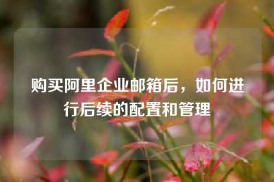 购买阿里企业邮箱后，如何进行后续的配置和管理
