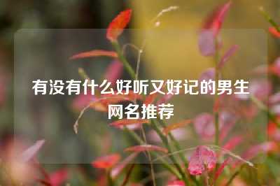 有没有什么好听又好记的男生网名推荐