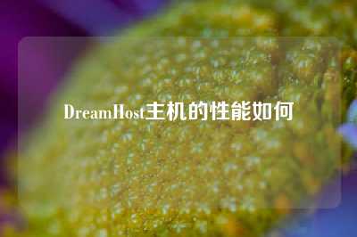 DreamHost主机的性能如何