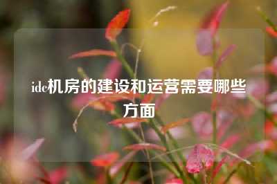 idc机房的建设和运营需要哪些方面