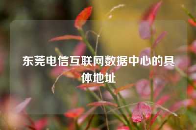 东莞电信互联网数据中心的具体地址