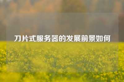 刀片式服务器的发展前景如何