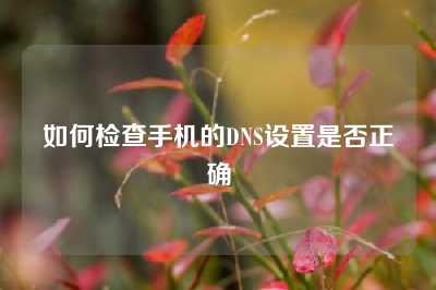如何检查手机的DNS设置是否正确