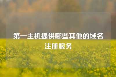 第一主机提供哪些其他的域名注册服务