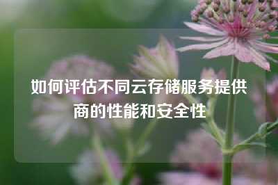 如何评估不同云存储服务提供商的性能和安全性