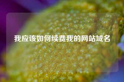 我应该如何续费我的网站域名