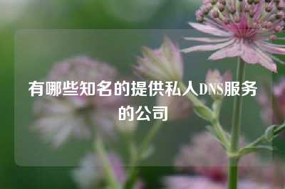 有哪些知名的提供私人DNS服务的公司