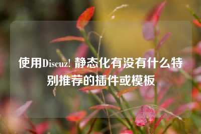 使用Discuz! 静态化有没有什么特别推荐的插件或模板