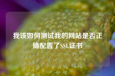 我该如何测试我的网站是否正确配置了SSL证书
