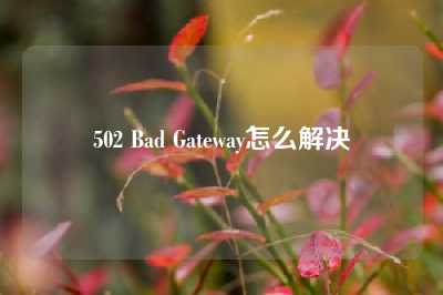 502 Bad Gateway怎么解决