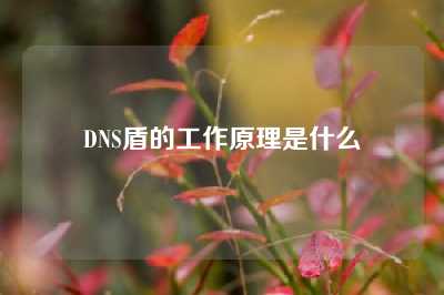 DNS盾的工作原理是什么