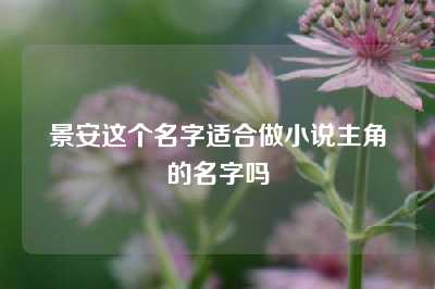 景安这个名字适合做小说主角的名字吗