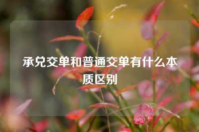 承兑交单和普通交单有什么本质区别