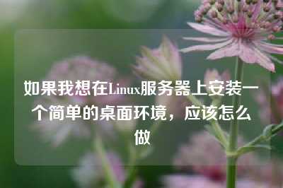 如果我想在Linux服务器上安装一个简单的桌面环境，应该怎么做