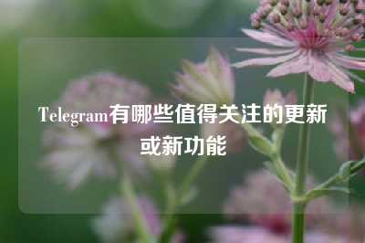 Telegram有哪些值得关注的更新或新功能