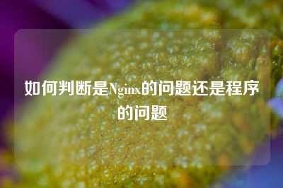 如何判断是Nginx的问题还是程序的问题