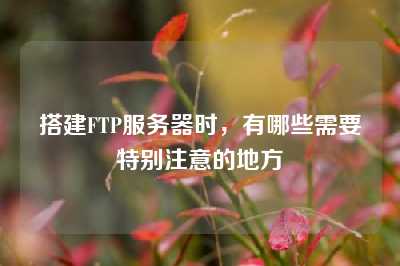 搭建FTP服务器时，有哪些需要特别注意的地方