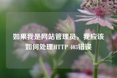 如果我是网站管理员，我应该如何处理HTTP 403错误