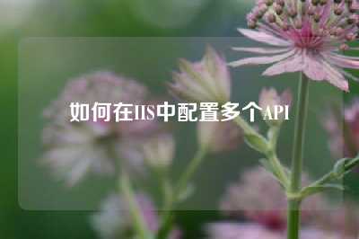 如何在IIS中配置多个API