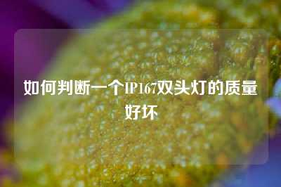 如何判断一个IP167双头灯的质量好坏