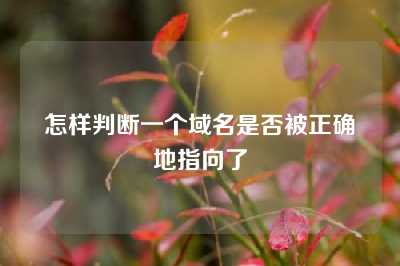 怎样判断一个域名是否被正确地指向了
