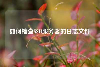 如何检查SSH服务器的日志文件