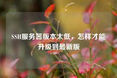 SSH服务器版本太低，怎样才能升级到最新版