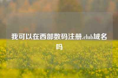 我可以在西部数码注册.club域名吗
