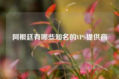 阿根廷有哪些知名的VPS提供商