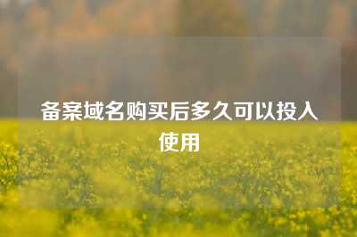 备案域名购买后多久可以投入使用
