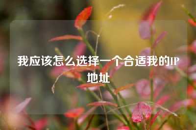 我应该怎么选择一个合适我的IP地址