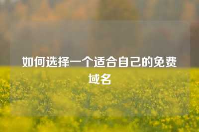 如何选择一个适合自己的免费域名