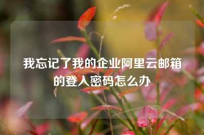 我忘记了我的企业阿里云邮箱的登入密码怎么办