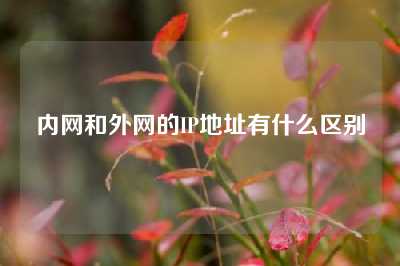内网和外网的IP地址有什么区别