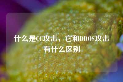 什么是CC攻击，它和DDOS攻击有什么区别