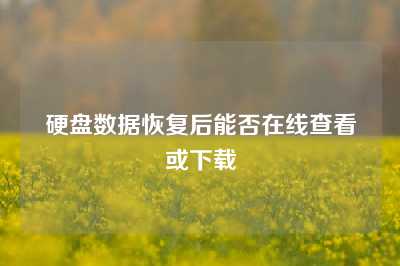 硬盘数据恢复后能否在线查看或下载