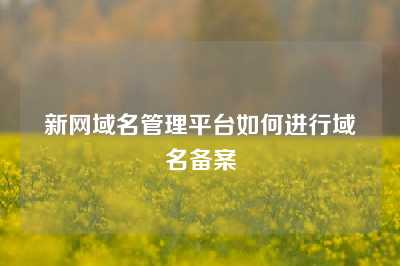 新网域名管理平台如何进行域名备案