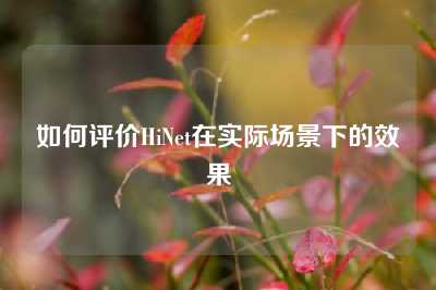 如何评价HiNet在实际场景下的效果