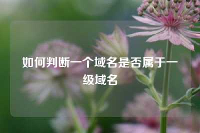如何判断一个域名是否属于一级域名