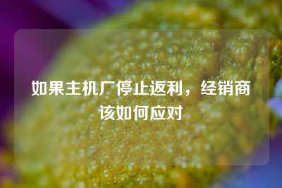 如果主机厂停止返利，经销商该如何应对