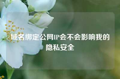 域名绑定公网IP会不会影响我的隐私安全